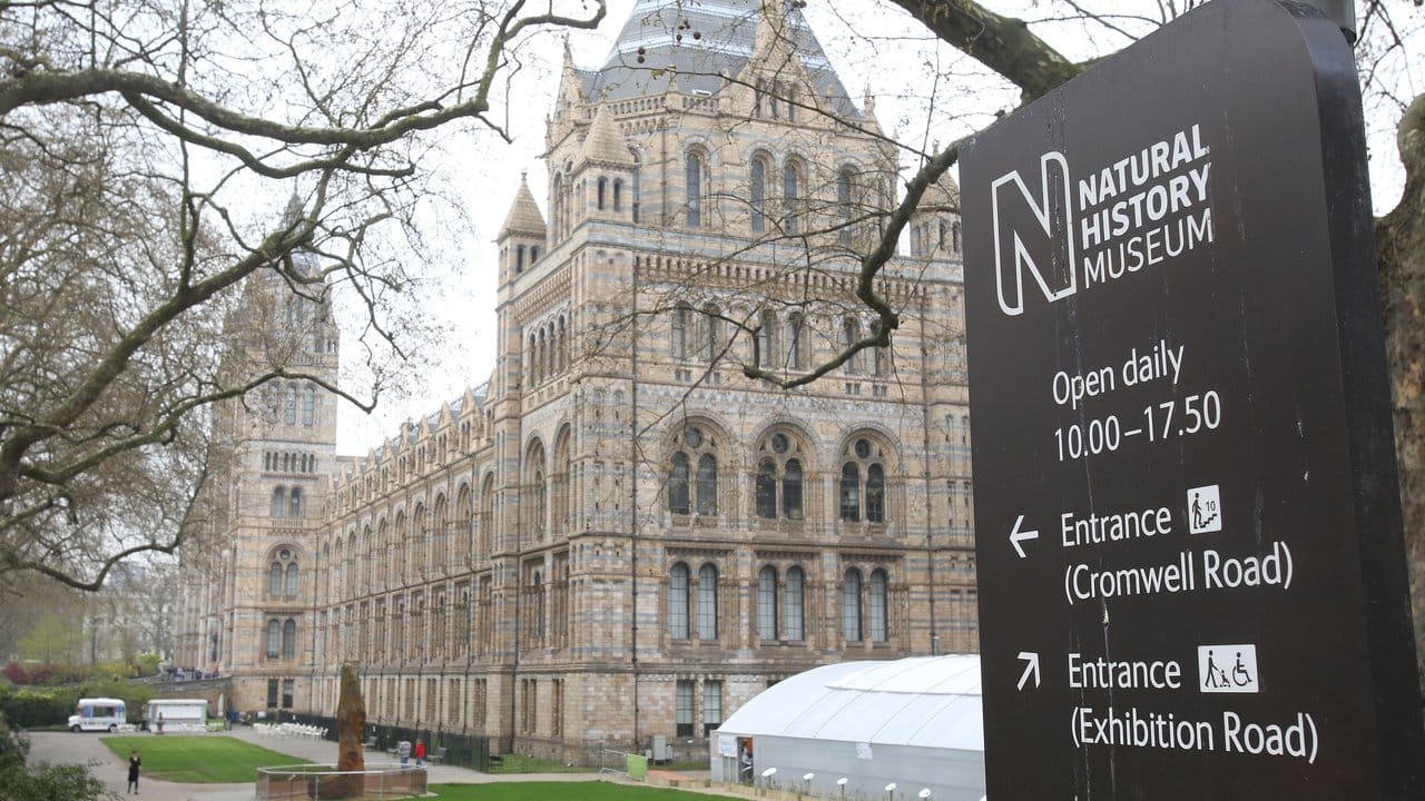 In der Nähe des Natural History Museums in London ist ein Auto auf einen Bürgersteig gefahren und hat mehrere Menschen verletzt. In der Nähe des Natural History Museums in London ist ein Auto auf einen Bürgersteig gefahren und hat mehrere Menschen verletzt.