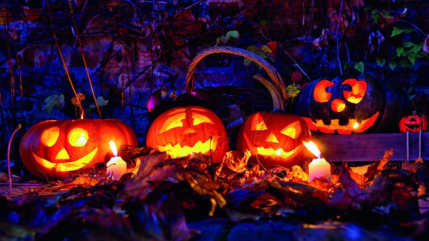 Kuerbisse beim Halloweenfest im Skyline Park