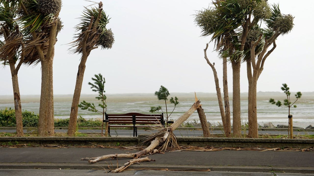 An der Promenade in Dublin sind Bäume umgeknickt.