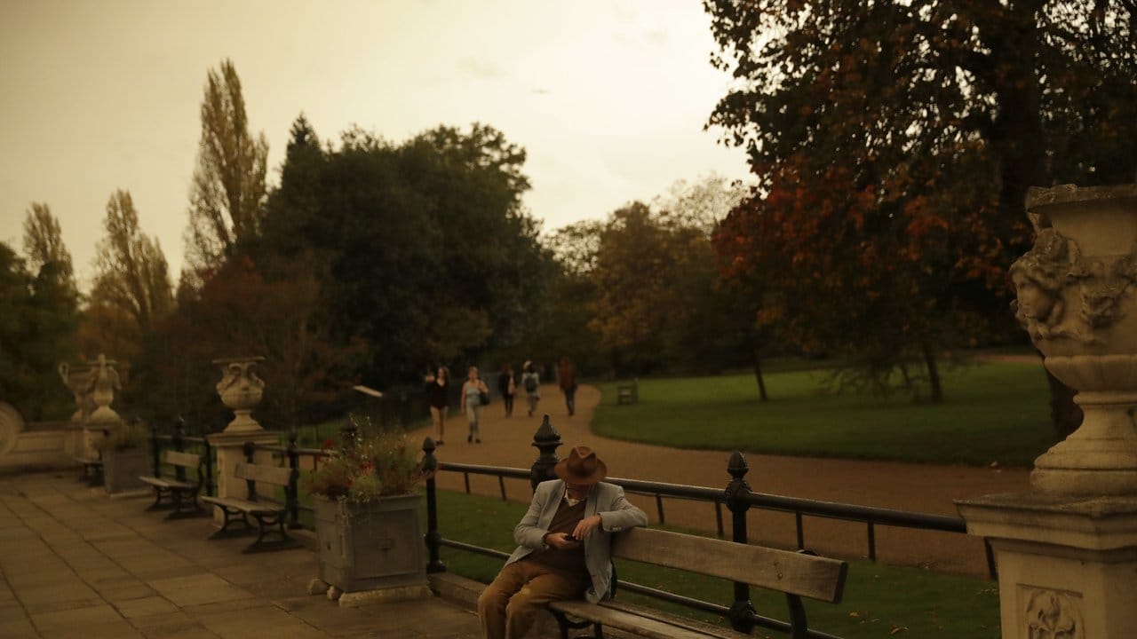 Der Hyde Park in London ist in Sepiafarbenes Licht getaucht.