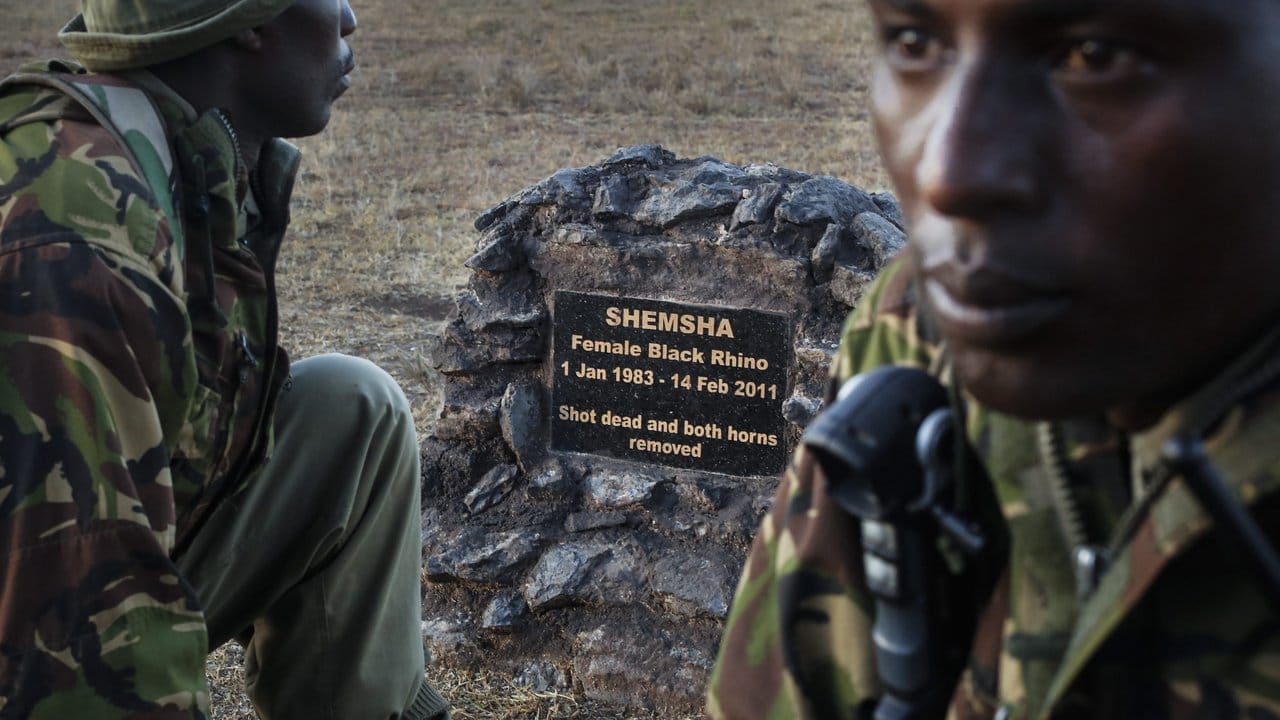 Gedenkstein für "Shemsha" in einem Schutzgebiet in Kenia. Gedenkstein für "Shemsha" in einem Schutzgebiet in Kenia.