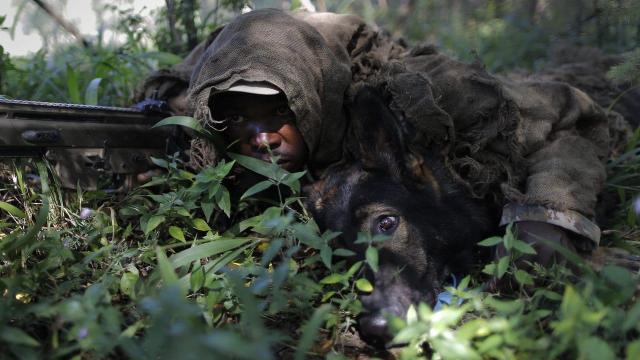 Training der Wildhüter: Kaum erkennbar liegen Elliot Moseselane und sein Hund auf der Lauer. Training der Wildhüter: Kaum erkennbar liegen Elliot Moseselane und sein Hund auf der Lauer.