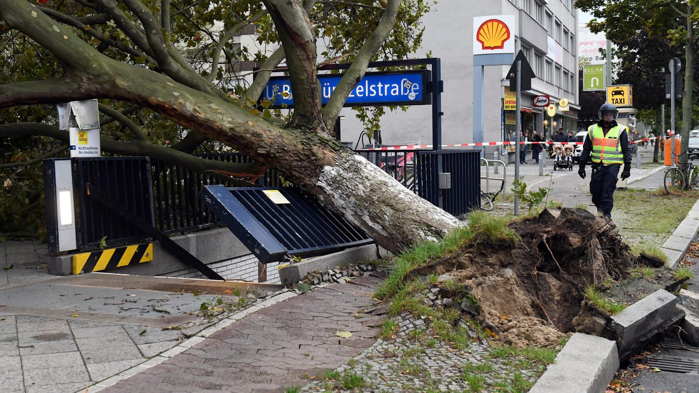 In Berlin wurden wegen des Sturmtiefs Xavier zahlreiche Bäume entwurzelt.