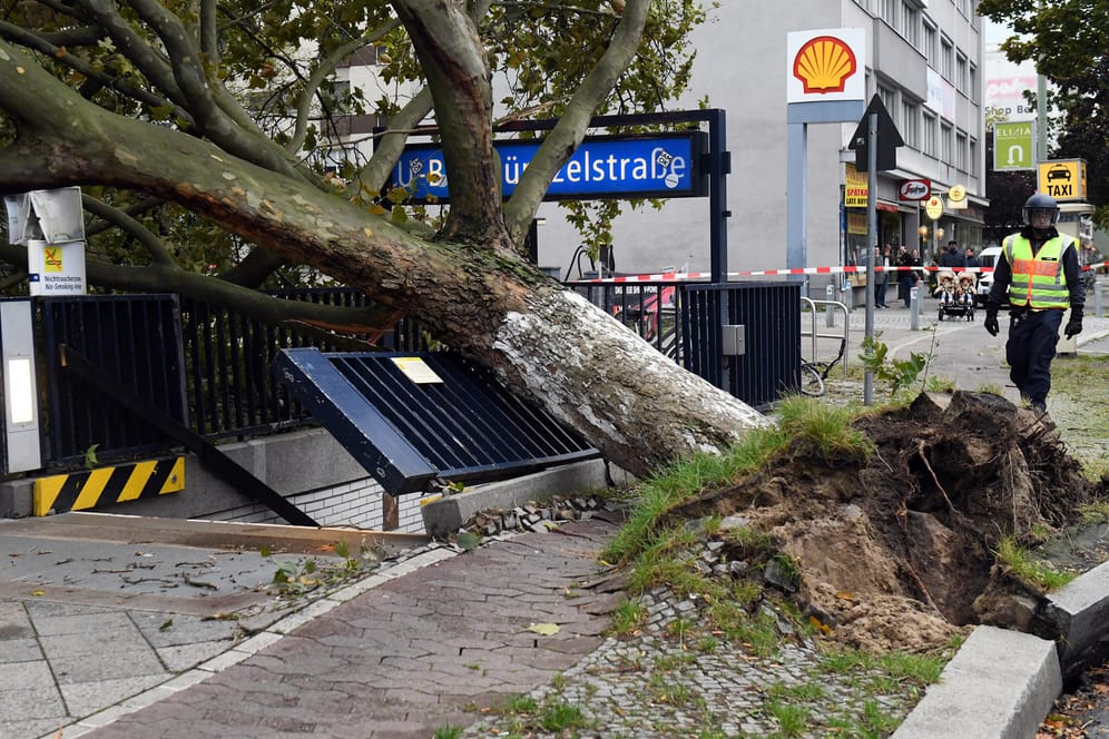 In Berlin wurden wegen des Sturmtiefs Xavier zahlreiche Bäume entwurzelt.