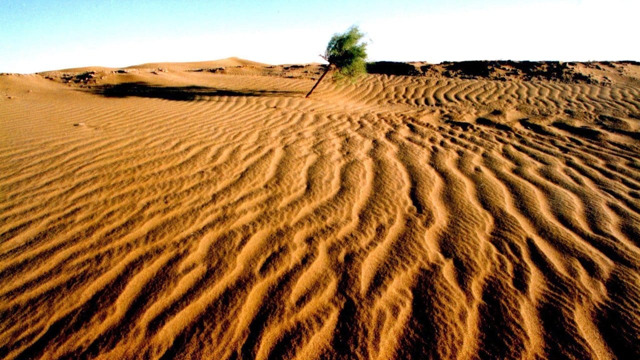 Die Wüste im Norden Chinas dehnt sich aus.