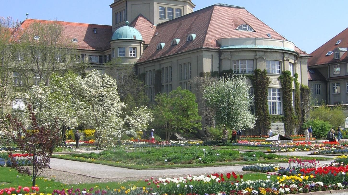 Im botanischen Garten in München gibt es neben viele Orchideenarten auch fleischfressende Pflanzen.