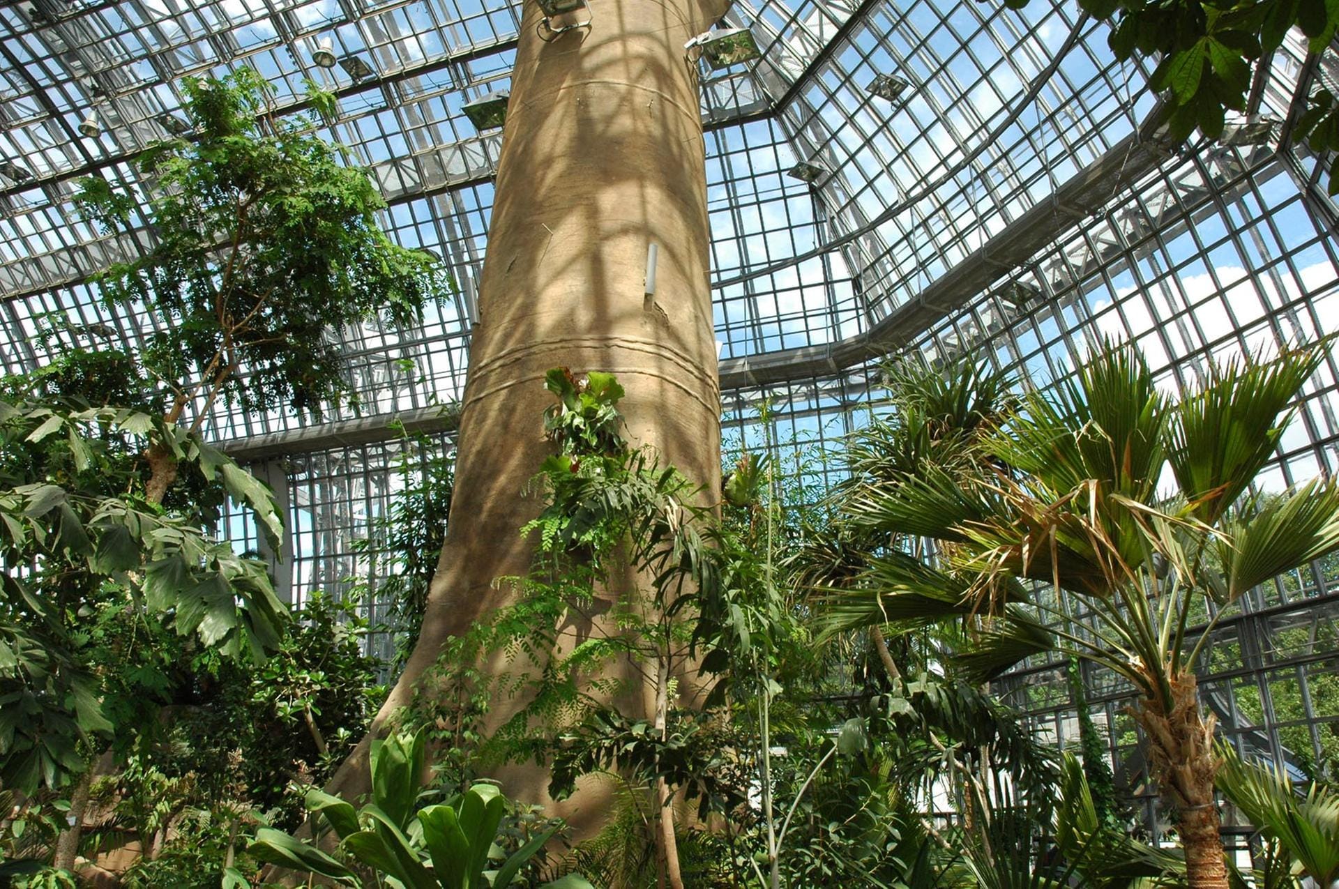 Botanischer Garten Berlin-Dahlem.