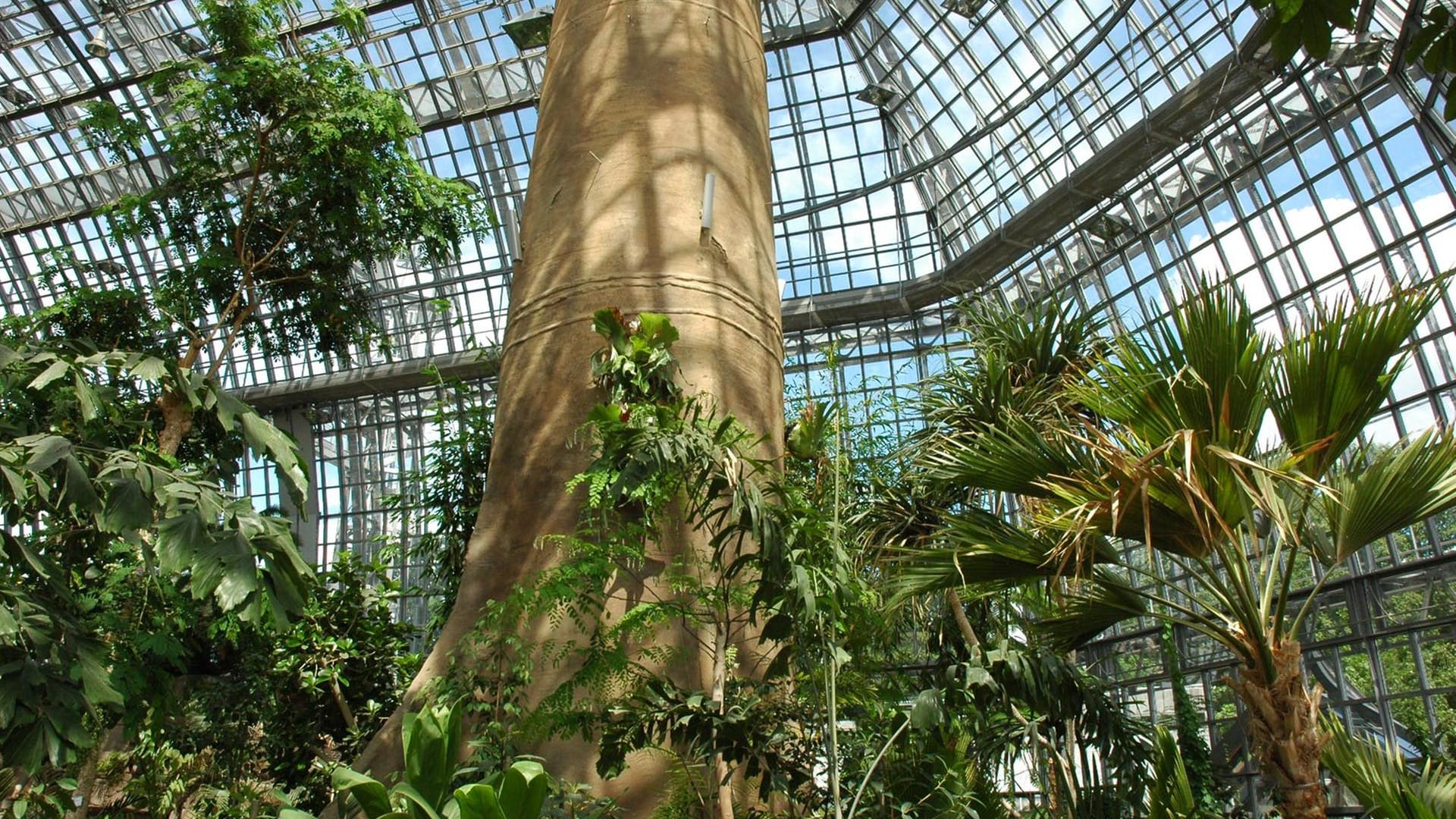 Botanischer Garten Berlin-Dahlem.