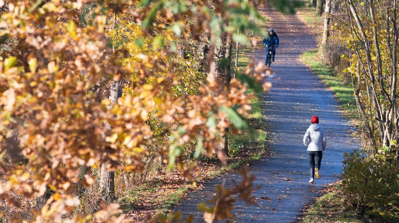 Der November zeigt sich bald von einer besonders freundlichen Seite.