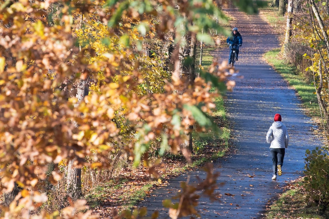 Der November zeigt sich bald von einer besonders freundlichen Seite.