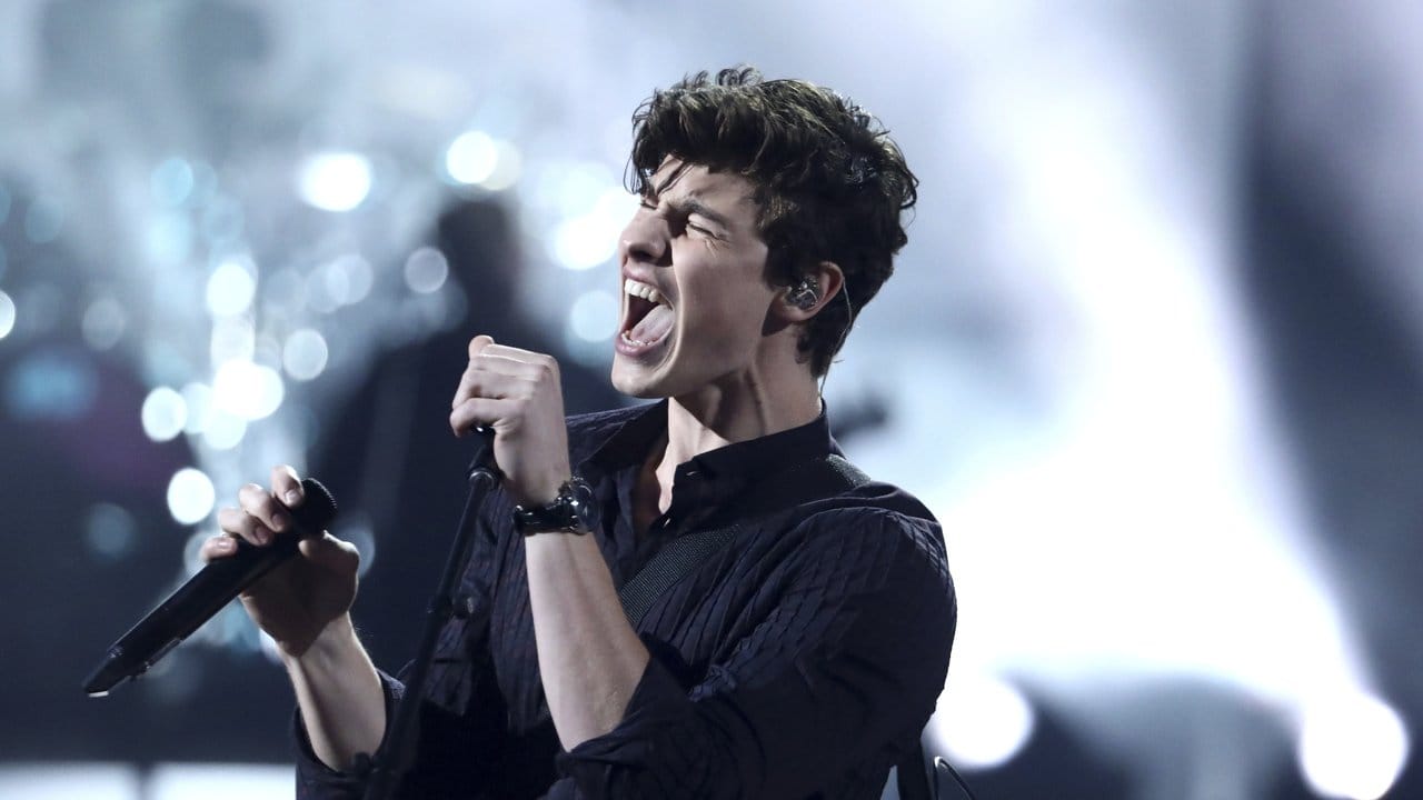 Shawn Mendes trat bei den American Music Awards auf.