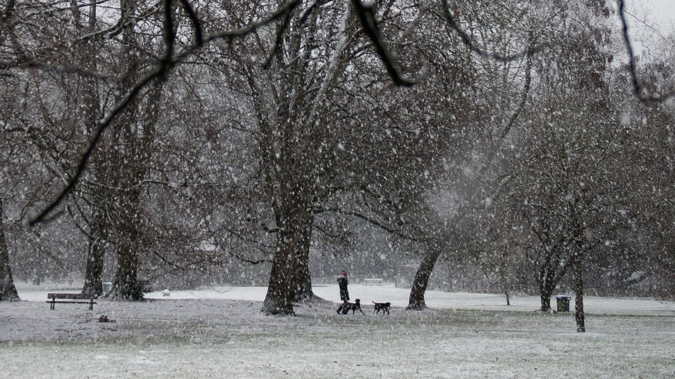 Eine Frau mit ihren Hunden geht bei Schneeregen durch einen Park: Ein neues Tief bringt Regen und vereinzelt Schnee kommende Woche nach Deutschland.