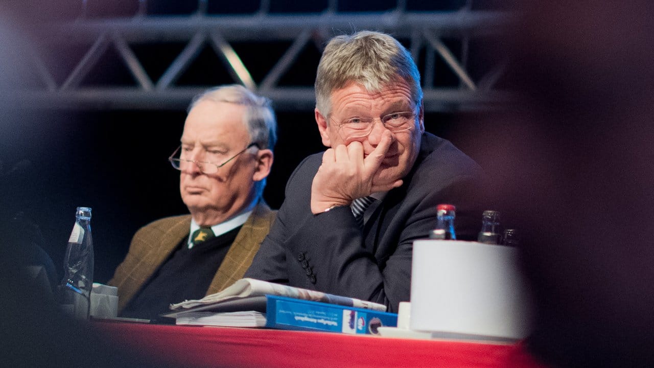 Die neue AfD-Spitze: Jörg Meuthen (r. Die neue AfD-Spitze: Jörg Meuthen (r.