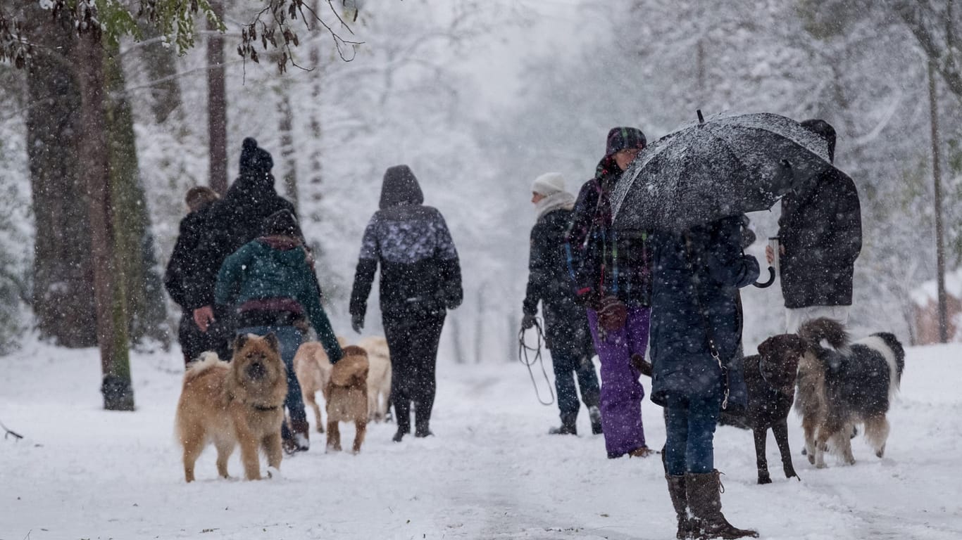 Hundebesitzer laufen auf dem Lindener Berg in Hannover durch den Schnee.