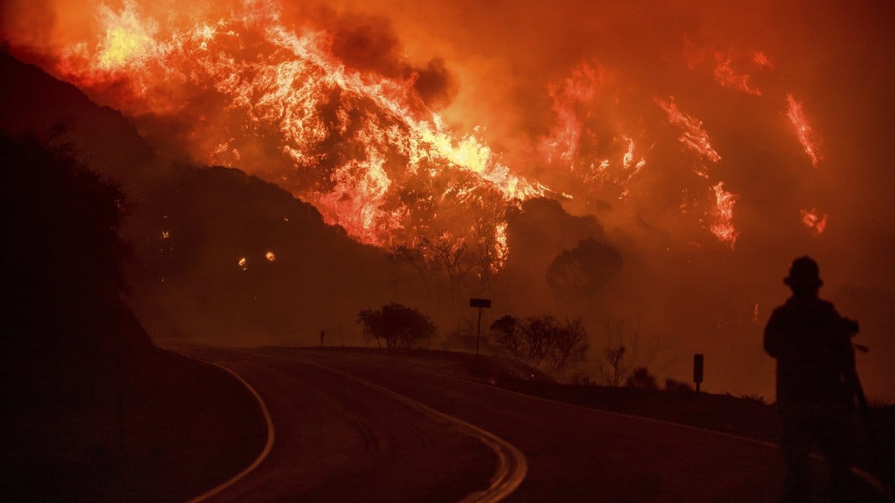 Die Flammen bahnen sich ihren Weg durch den Los Padres National Forest. Die Flammen bahnen sich ihren Weg durch den Los Padres National Forest.