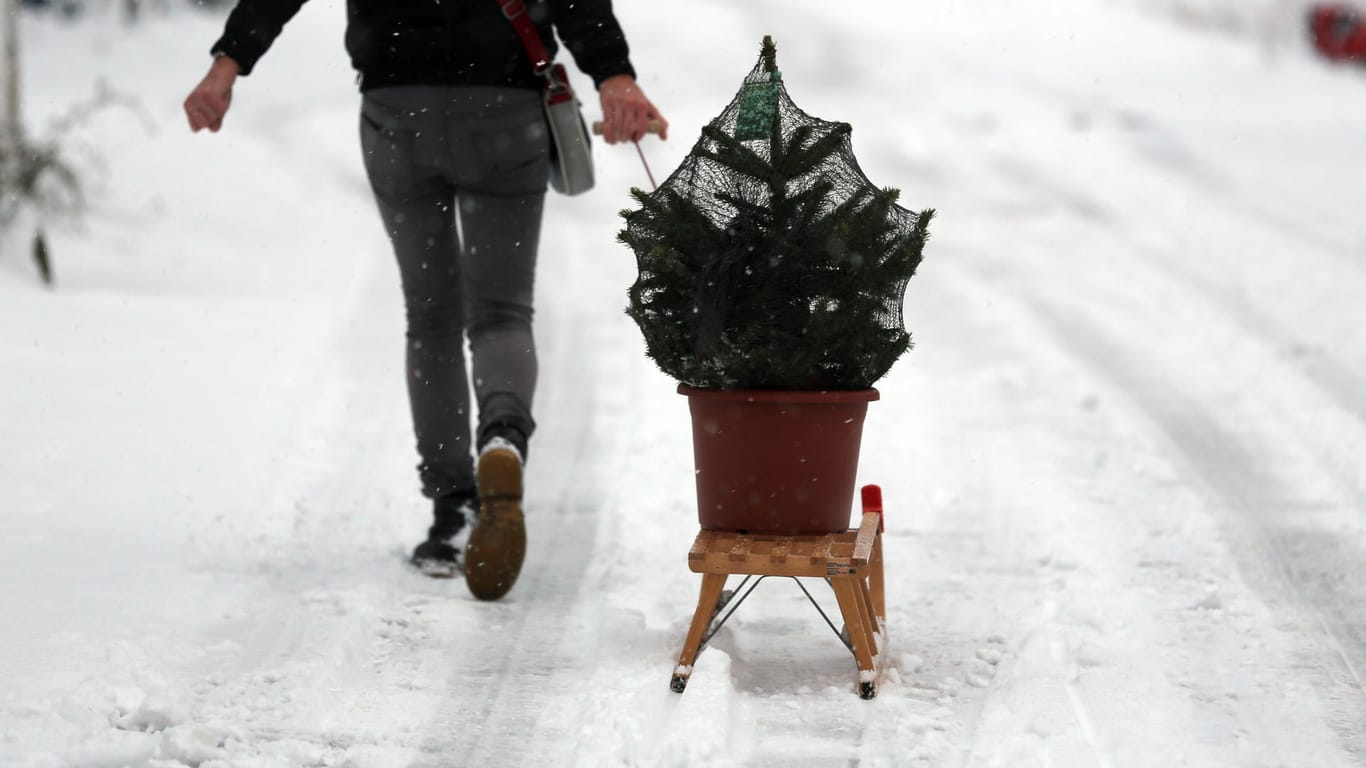 Ein Mann zieht in Dortmund (Nordrhein-Westfalen) einen Schlitten mit einem Tannenbaum.