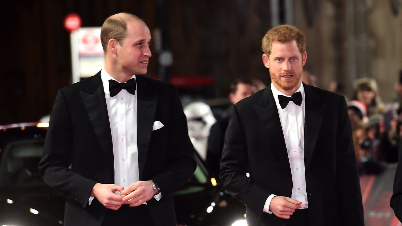 Royale Filmfans: Die britischen Prinzen William (l) und Harry vor der Royal Albert Hall in London.