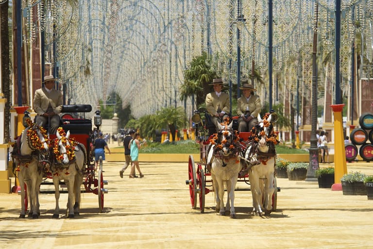 Die Pferdemesse findet jährlich in Jerez de la Frontera statt. Die Stadt ist als das Mekka der andalusischen Pferdezucht bekannt.