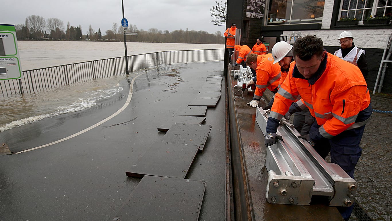 Hochwasser am Rhein in Köln: Mitarbeiter der Stadt bauen Hochwasserschutzwände auf. In Köln wurde die Hochwassermarke I überschritten.