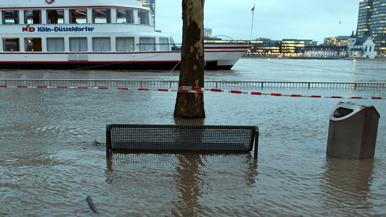 Vom Hochwasser umspült steht in Köln eine Bank.