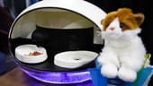 Catspad ist eine intelligente Maschine für die Fütterung von Katzen. Sie versorgt Katzen auch mit Wasser, sodass die haarigen Mitbewohner nie wieder vergessen werden.