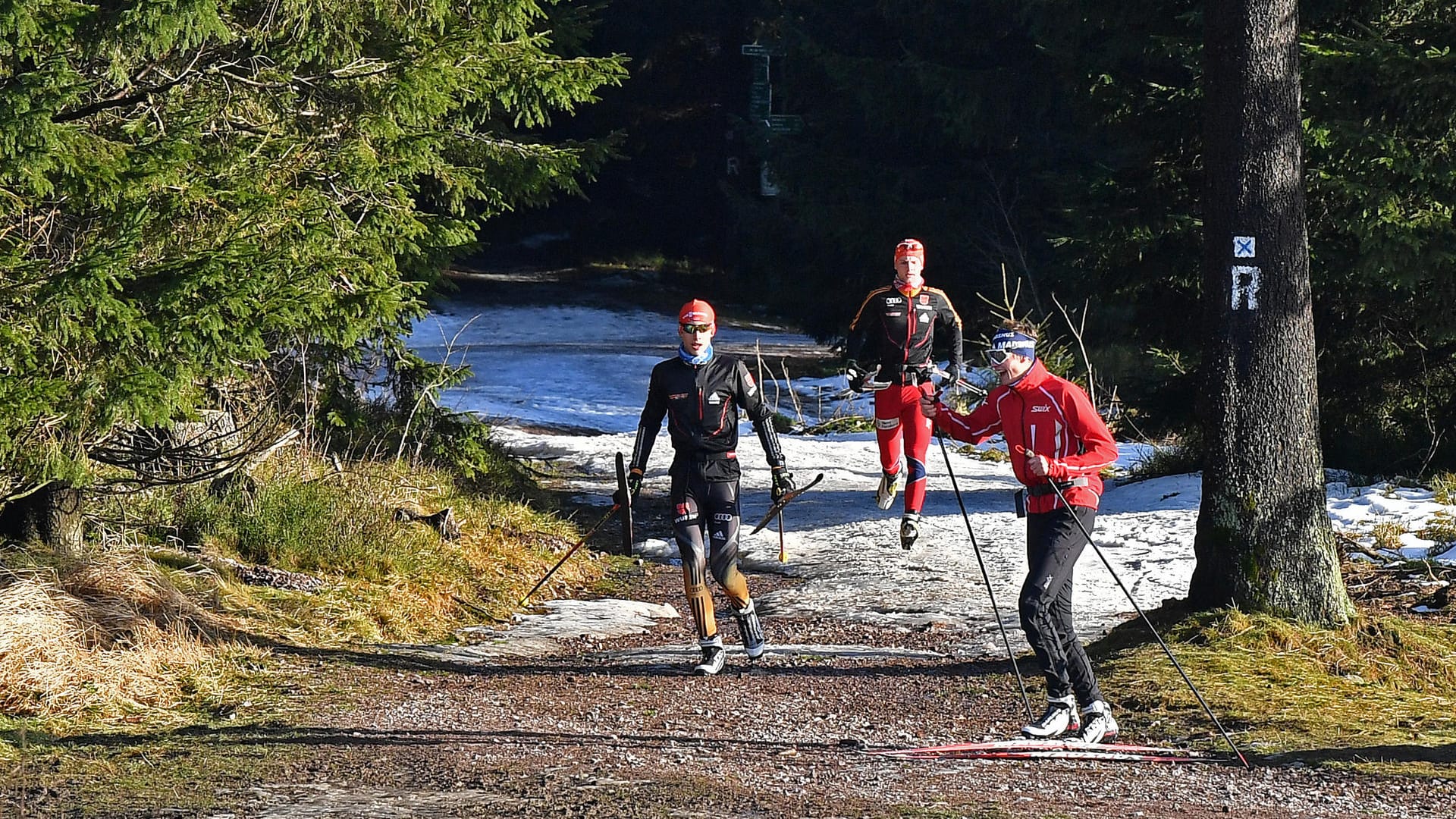 Milder Winter in Thüringen: Auch in den kommenden Tagen bleiben die Temperaturen in Deutschland über dem Gefrierpunkt. Milder Winter in Thüringen: Auch in den kommenden Tagen bleiben die Temperaturen in Deutschland über dem Gefrierpunkt.