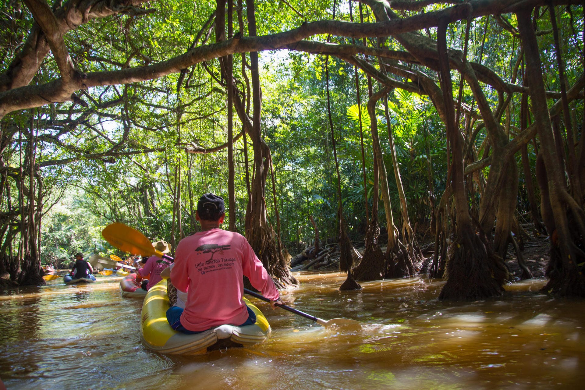 Paddelbootausflug auf dem ''Little Amazonas'': Ruhig plätschern die Paddel unter riesigen Banyan-Bäumen mit gewaltigen Luftwurzeln.
