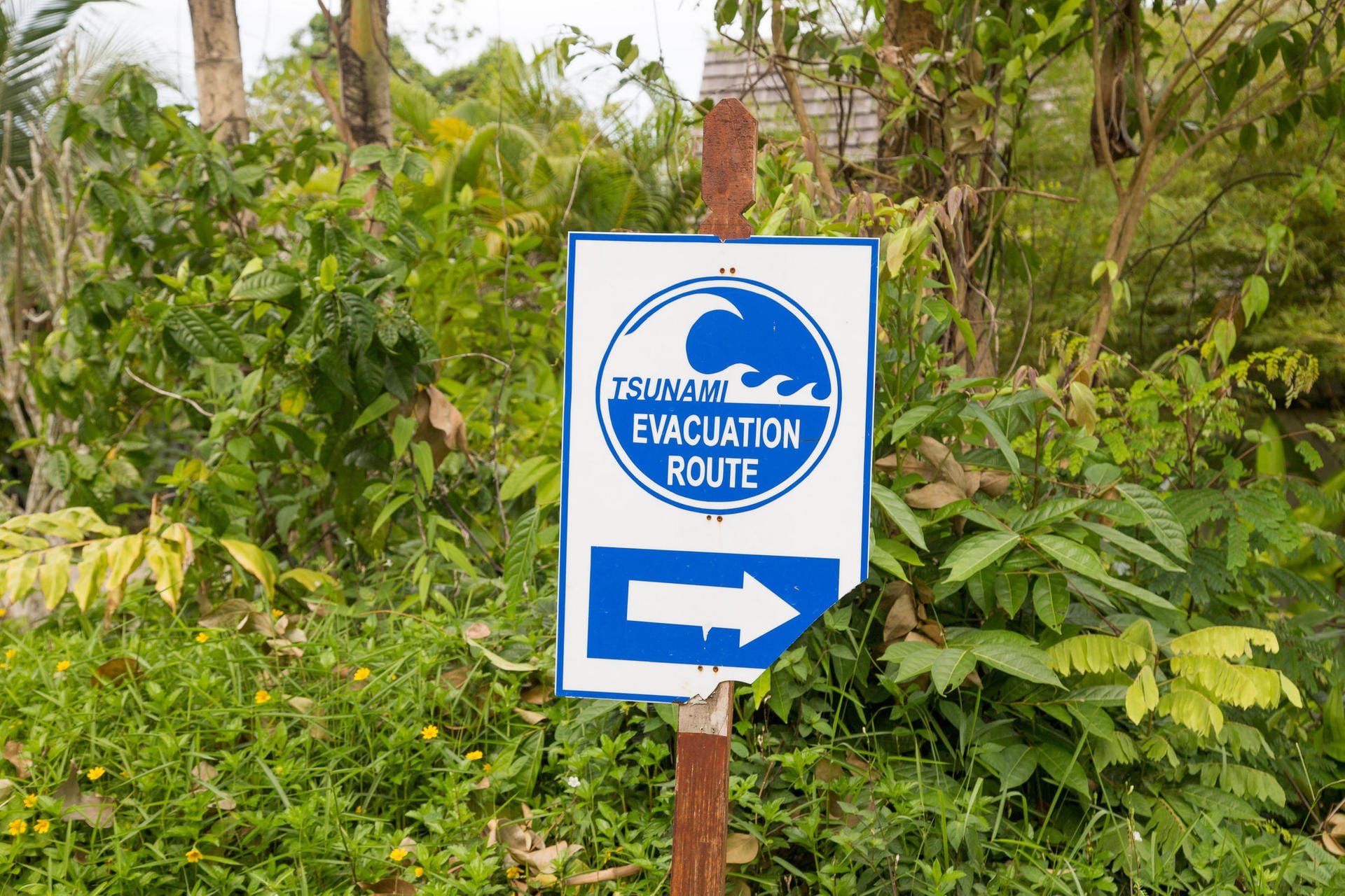Tsunami Evacuation Beschilderung: Heute braucht man viel Spürsinn, um noch Reste und Markierungen der Katastrophe von 2004 auf den Straßen zu entdecken.