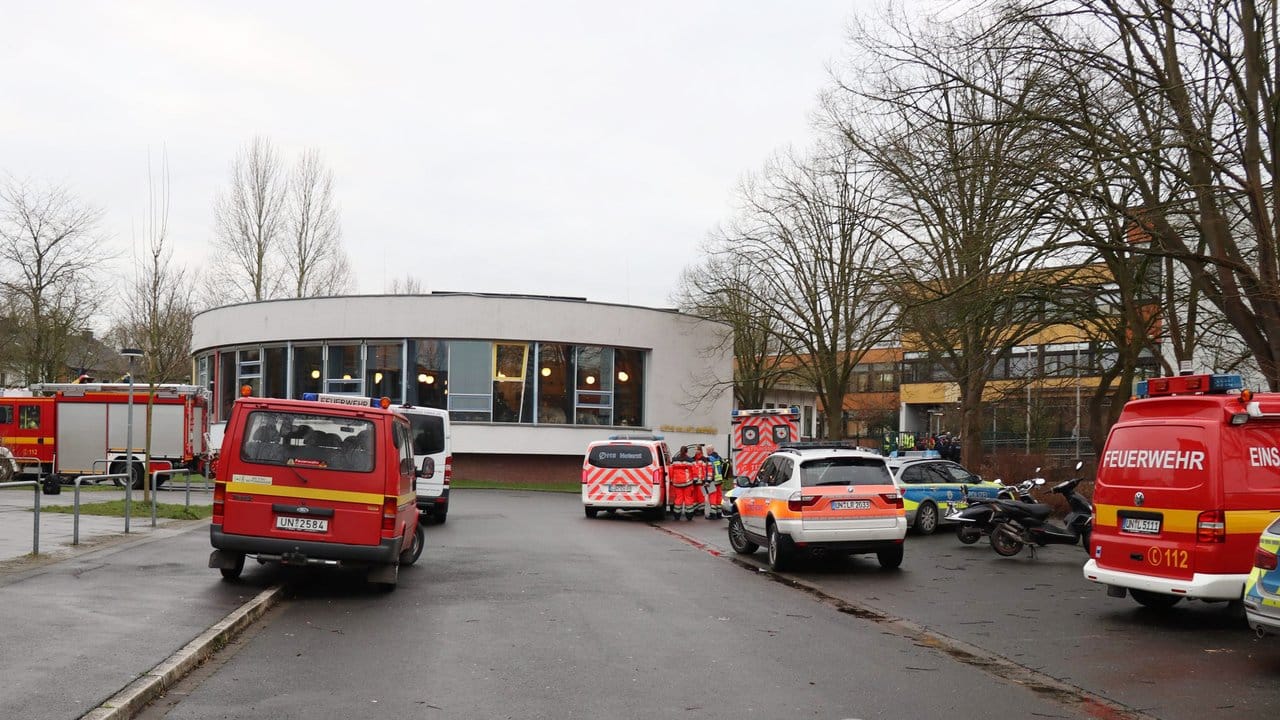 Fahrzeuge von Feuerwehr, Polizei und Rettungsdienst stehen am Einsatzort.