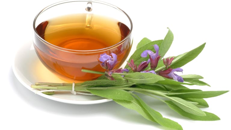 Auch Tee hat sich als ein effektives Hausmittel gegen Halsschmerzen bewährt. Am besten wirken Tees aus Kardamom, Ingwer oder Nelken. Auch Salbeitee kann helfen – doch Schwangere sollten keine zu großen Mengen zu sich zu nehmen.