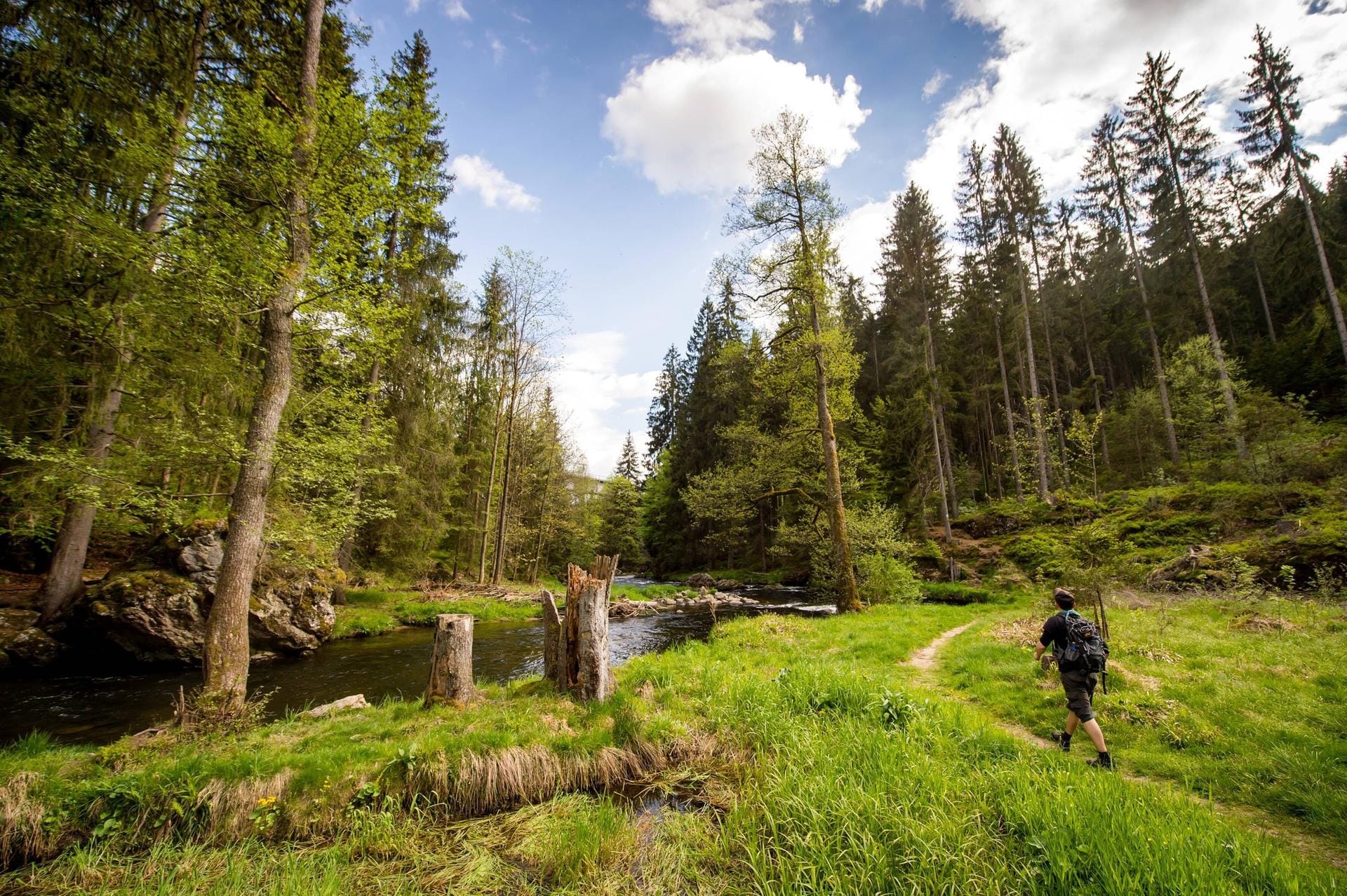 Wanderer können auf mehr als 300 Kilometern im Nationalpark Bayerischer Wald wilde, unberührte Natur genießen.