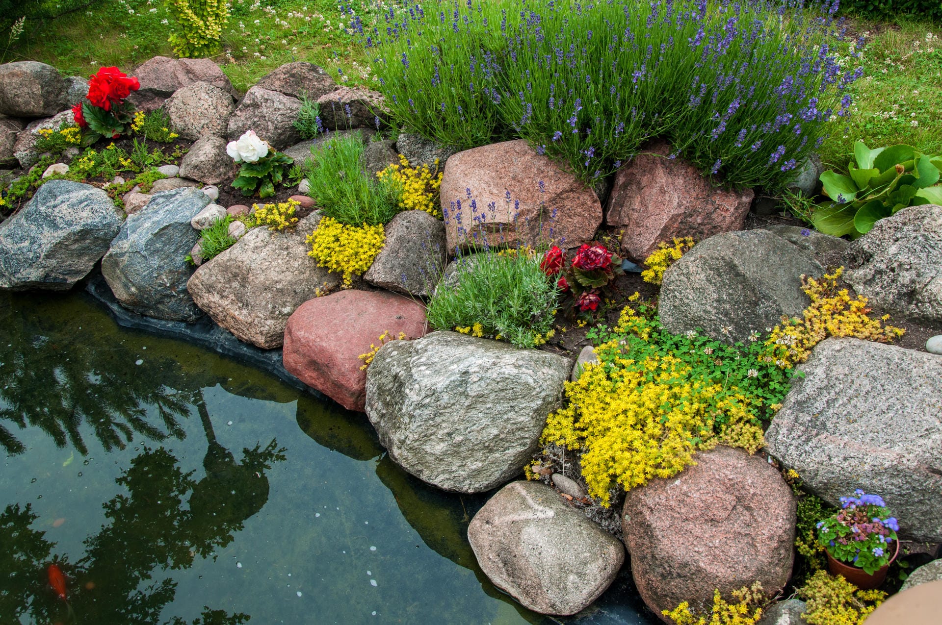 Den Uferbereich des Gartenteichs können Sie mit großen Steinen dekorieren.