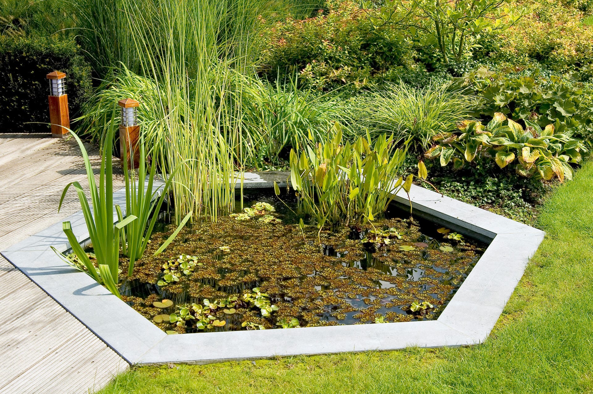 Selbst ein kleiner Teich im Garten kann für einen großen Effekt sorgen.