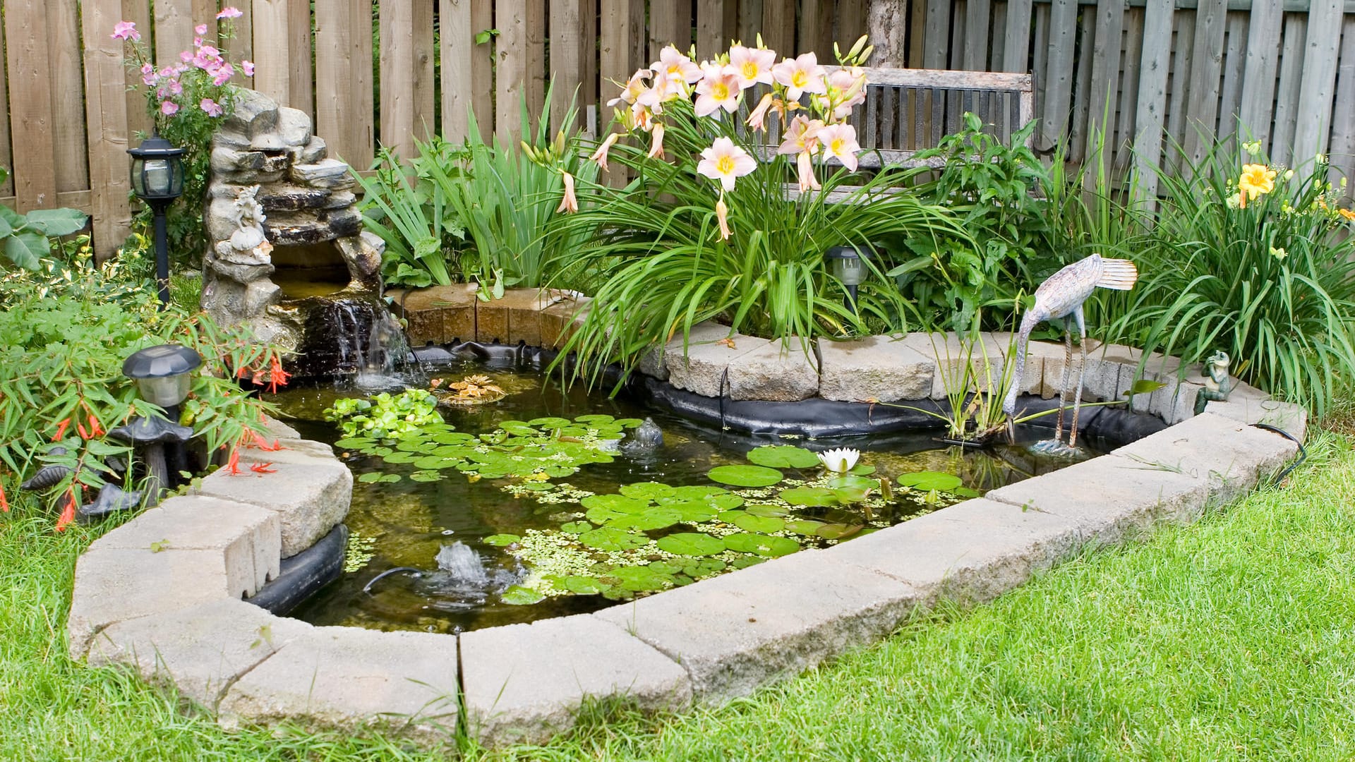 Gartenteich: Mit der richtigen Bepflanzung wirkt der Gartenteich wie eine kleine Oase.