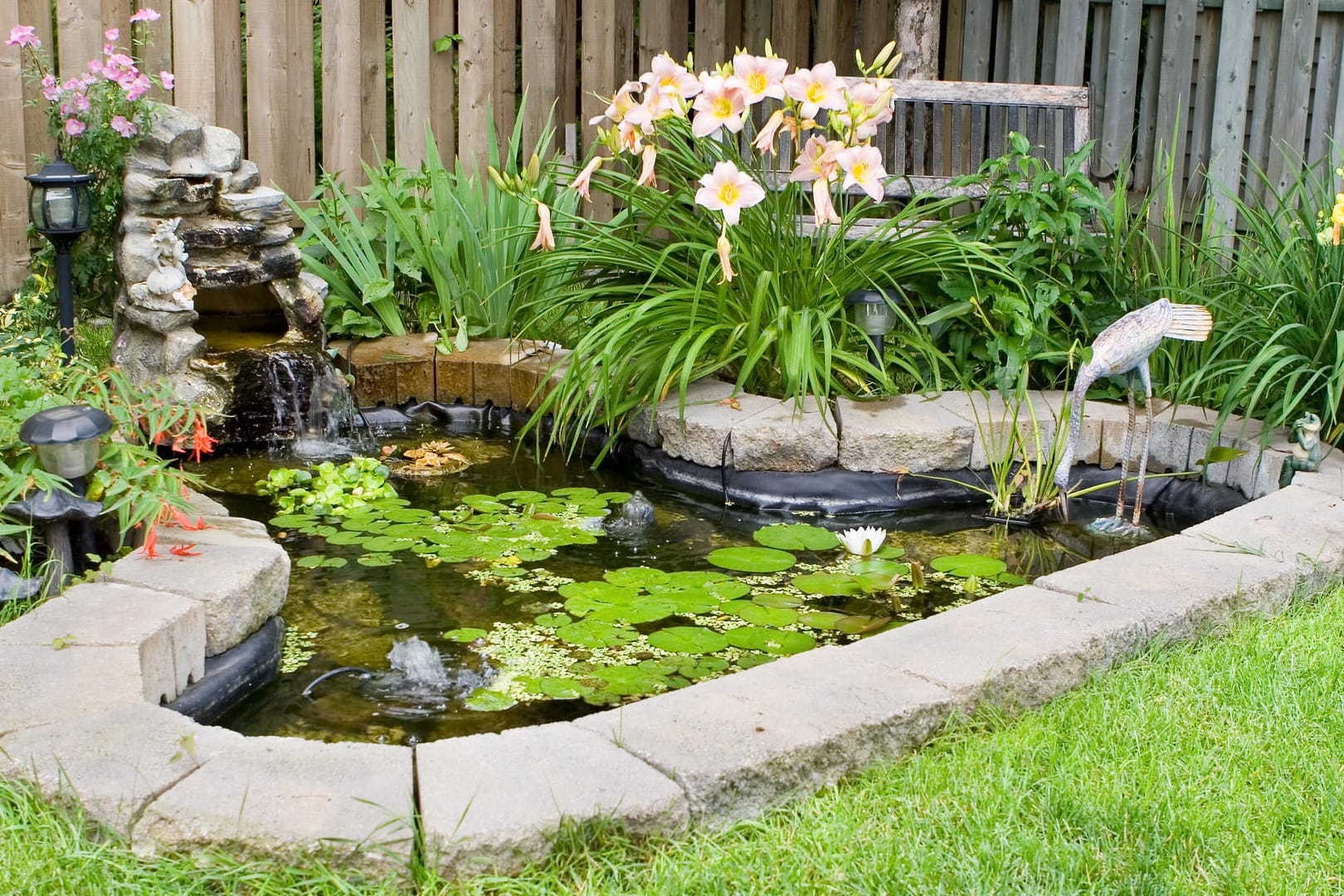 Gartenteich: Mit der richtigen Bepflanzung wirkt der Gartenteich wie eine kleine Oase.