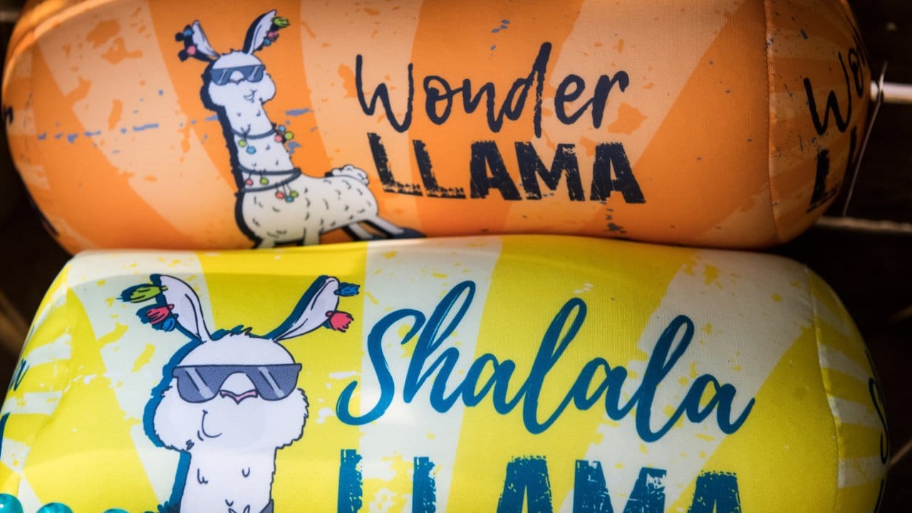 Lamas und Alpakas zieren bisher vornehmlich Kinderprodukte - gerne versehen mit zielgruppengerechten Wortspielen.
