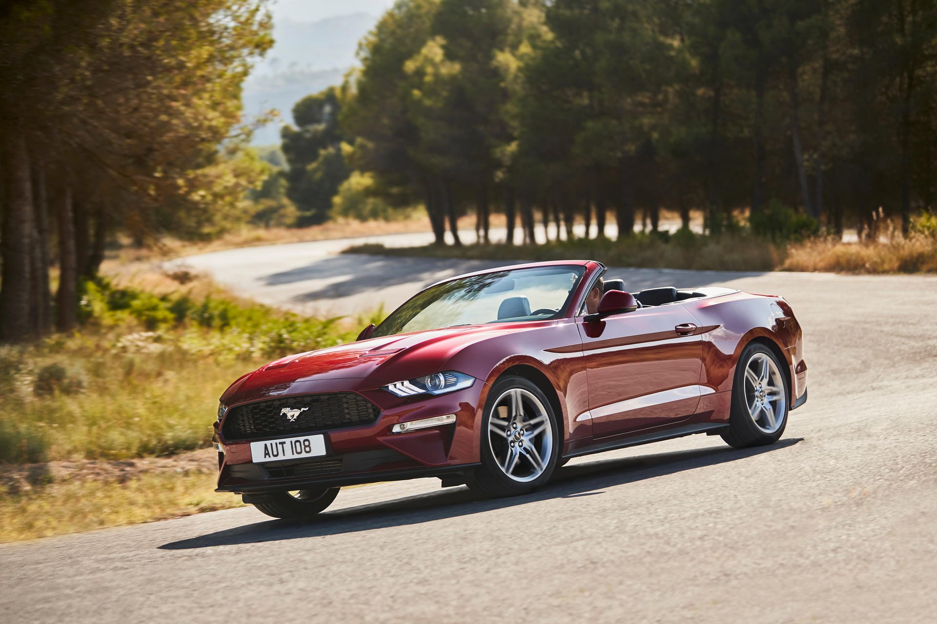 Mustang mit Muskeln: Der Ford Mustang leistet als Cabrio bis zu 331 kW/450 PS.