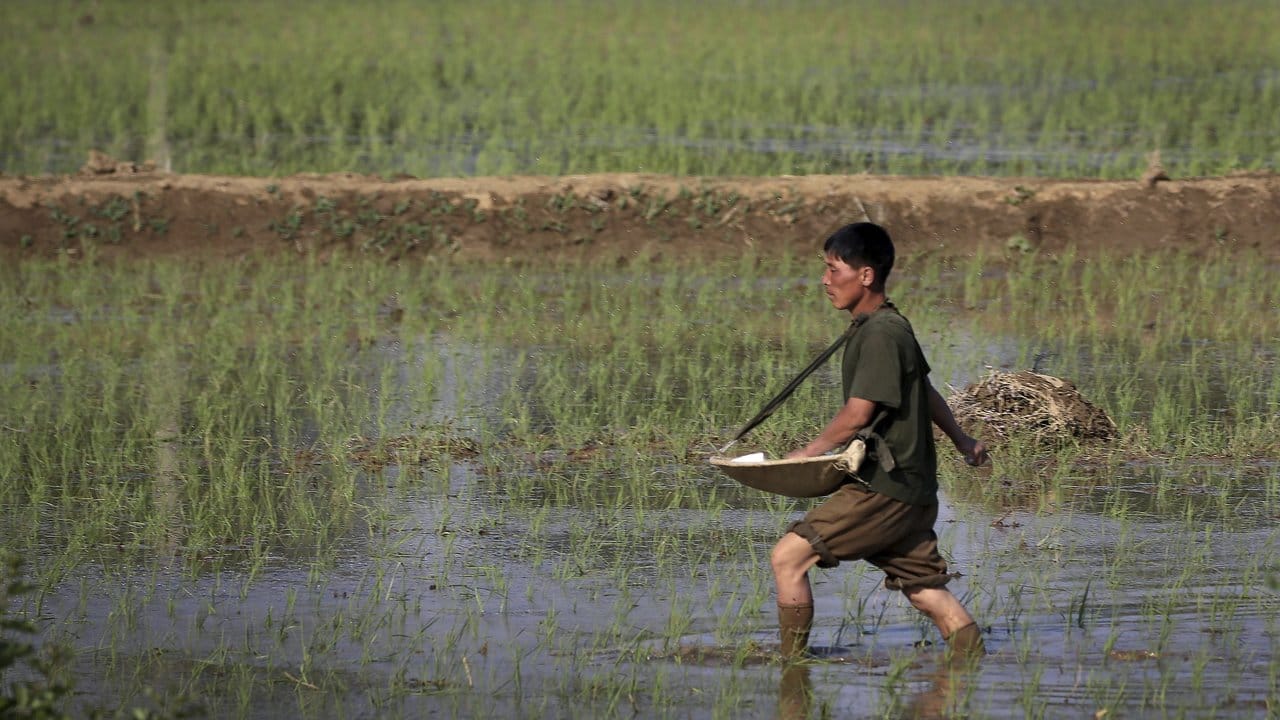 Landwirt in Pjöngjang: Nordkorea ist bitterarm, immer wieder machen Spekulationen über Hungersnöte die Runde.