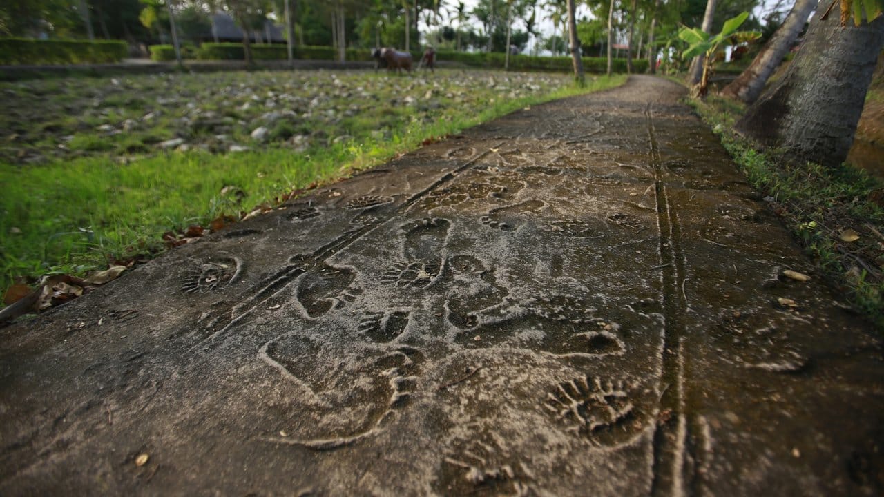 Die rekonstruierten Fußabdrücke von vietnamesischen Dorfbewohnern und US-Soldaten sind Teil des Mahnmals für das Massaker von My Lai. Die rekonstruierten Fußabdrücke von vietnamesischen Dorfbewohnern und US-Soldaten sind Teil des Mahnmals für das Massaker von My Lai.