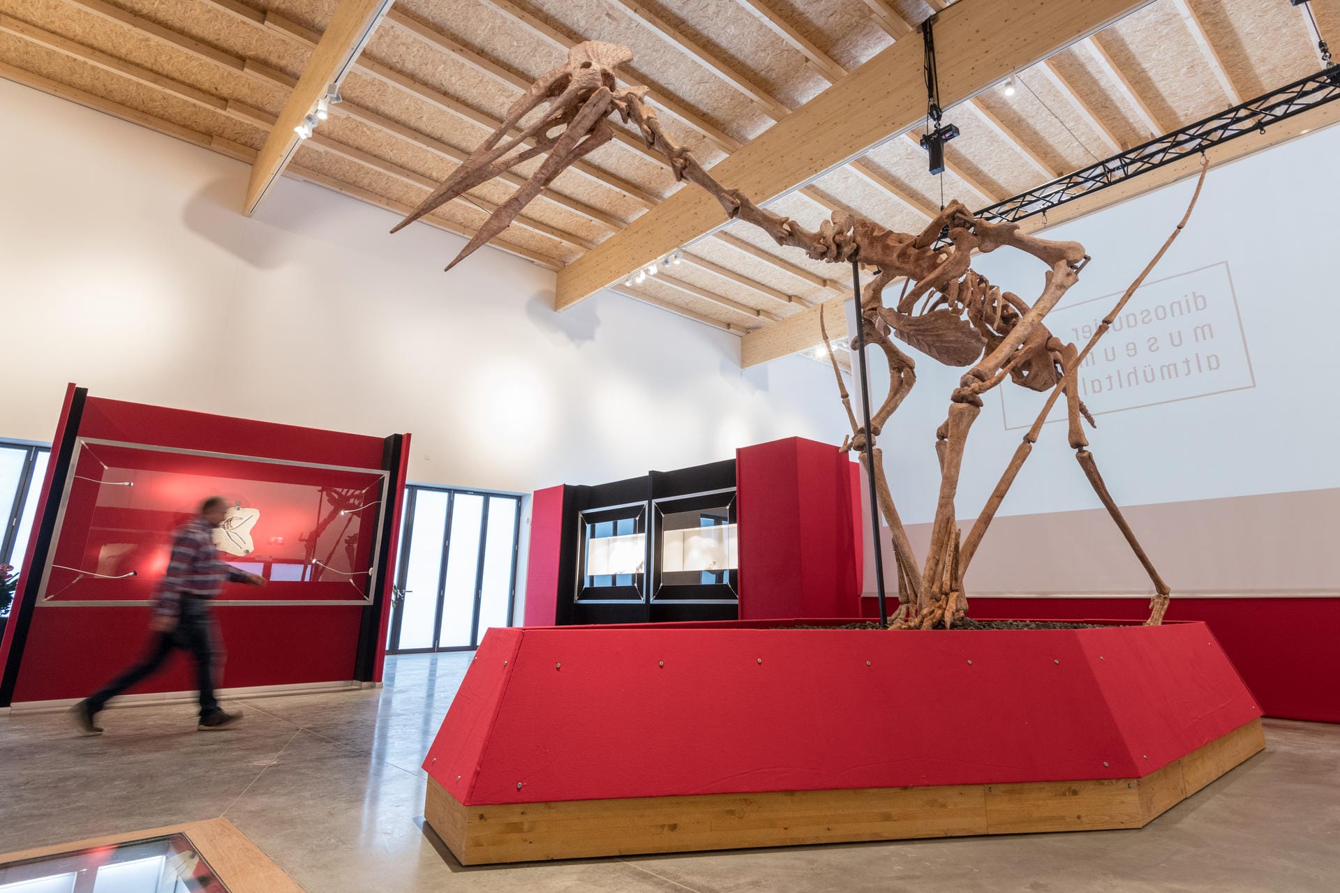 Das Modell eines Riesenflugsauriers steht im Dinosaurier Museum Altmühltal.