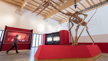 Das Modell eines Riesenflugsauriers steht im Dinosaurier Museum Altmühltal.