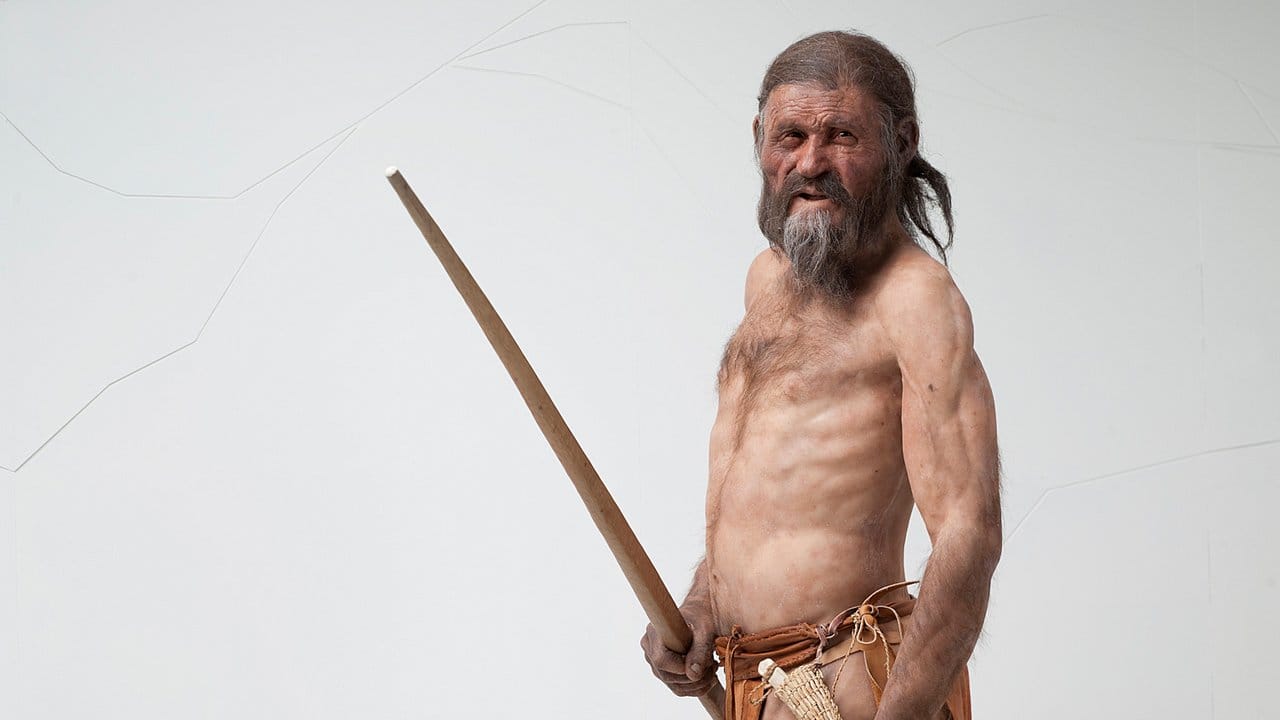 Eine Rekonstruktion des Gletschermannes Ötzi. Eine Rekonstruktion des Gletschermannes Ötzi.