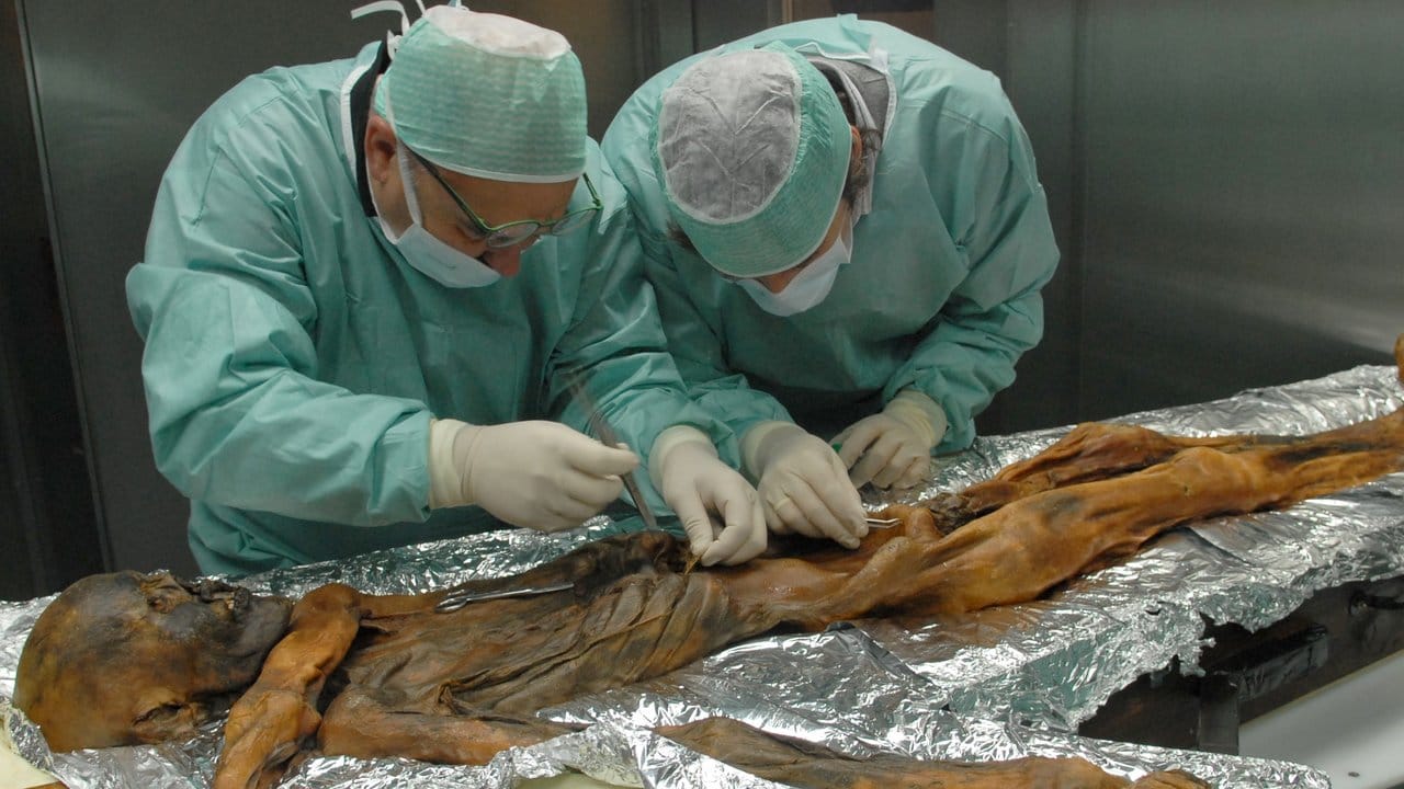 Das Forschungsinteresse an Ötzi ist weiterhin hoch. Das Forschungsinteresse an Ötzi ist weiterhin hoch.