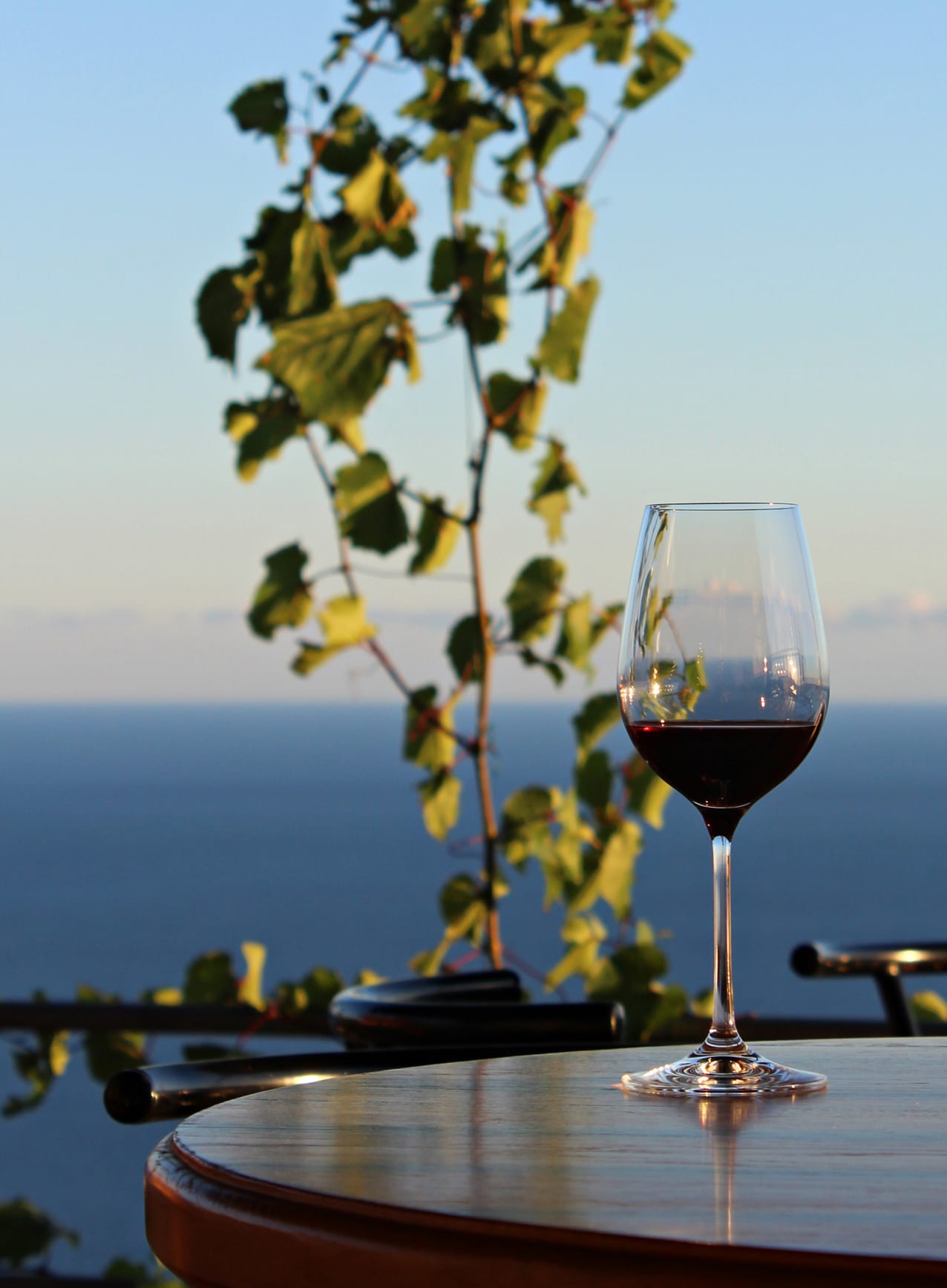 Nach einem sonnigen Tag am Strand können Sie mit einem Glas Dingač-Rotwein entspannen.