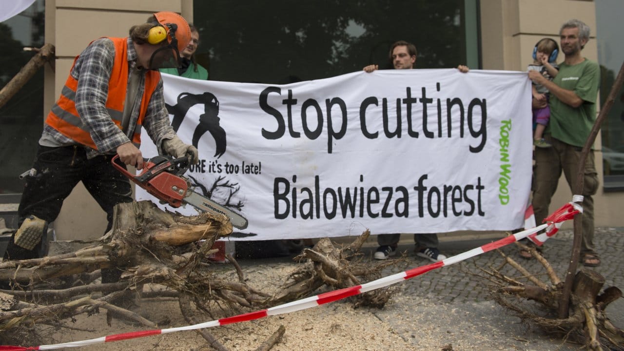 Mitglieder der Umweltorganisation "Robin Wood" protestieren in Berlin gegen die Abholzung des polnischen Urwalds Bialowieza (Archiv).