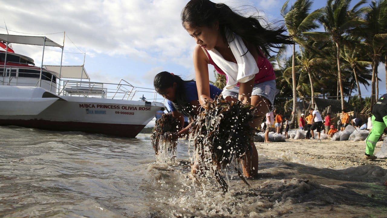 Philippiner reinigen einen Strand auf Boracay. Philippiner reinigen einen Strand auf Boracay.