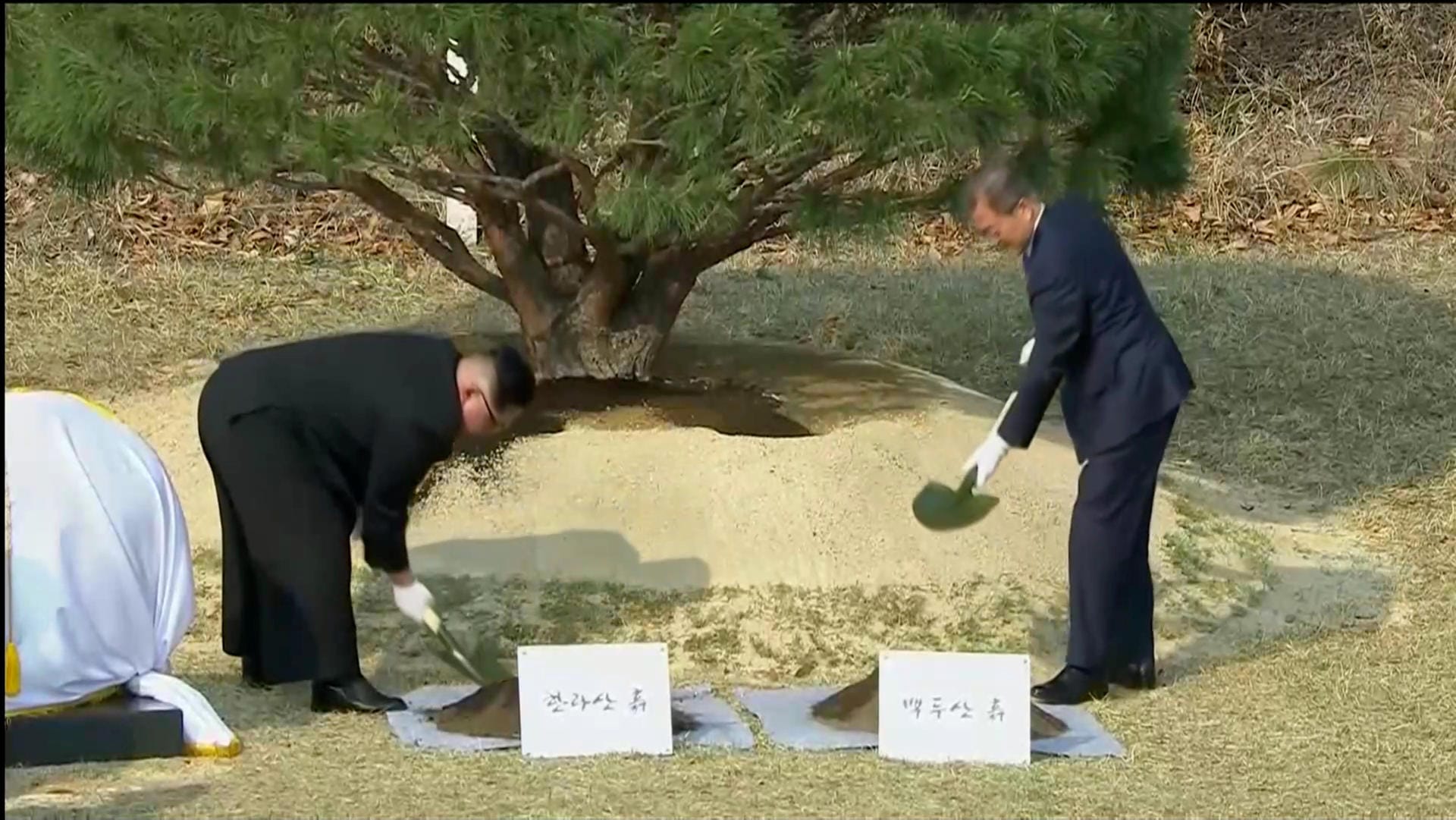 Ungeachtet dessen pflanzten Kim Jong Un und Moon Jae In einen Baum gepflanzt. Die Politiker begossen die Kiefer am Freitag mit einer Mischung aus Wasser und Erde aus beiden Ländern.