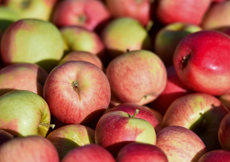 Äpfel