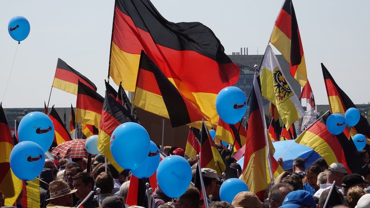 Anhänger der AfD bei ihrer Demo in Berlin.