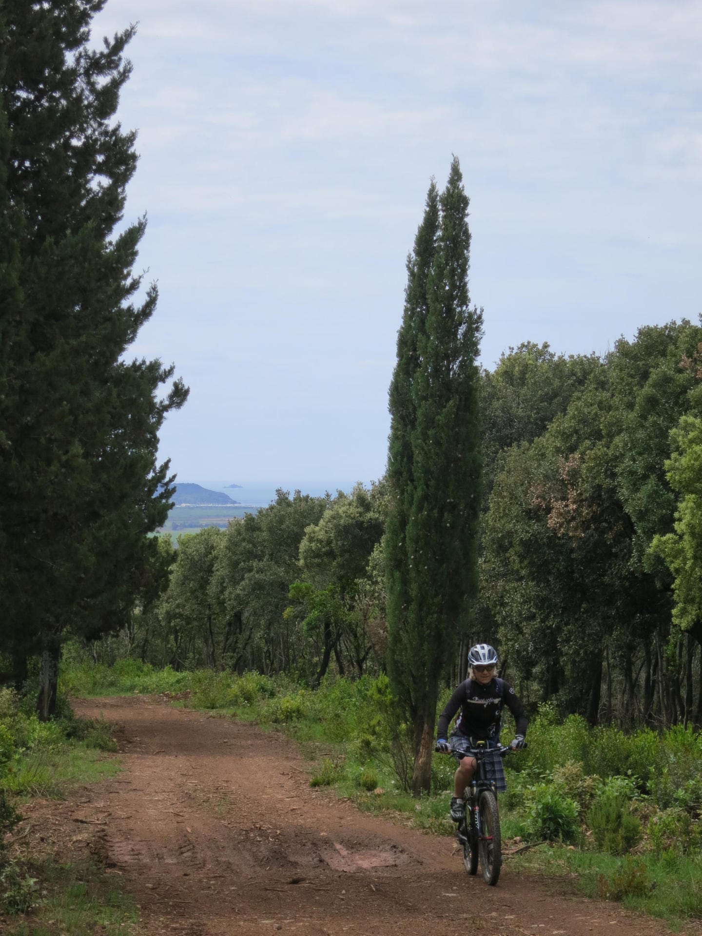 Zypress und sanfte Hügel prägen die Touren in der Toskana, wie hier in der Maremma.